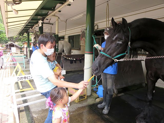🐎 말 박물관 (우마노하쿠부츠칸) 이미지 10